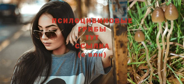 винт Абаза
