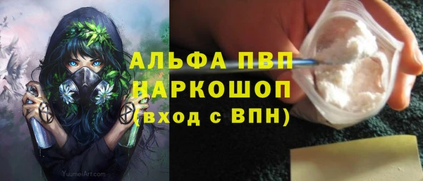 винт Абаза